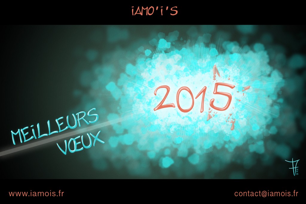 Voeux iamo'i's 2015